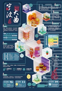 chinese new year infographic